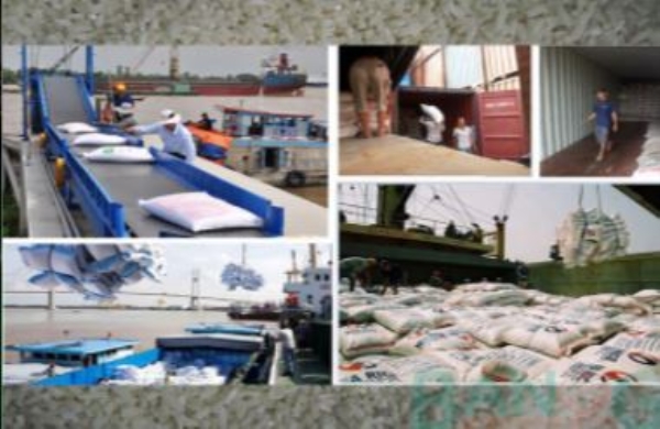 Giám định nông sản, thực phẩm